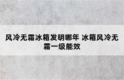 风冷无霜冰箱发明哪年 冰箱风冷无霜一级能效